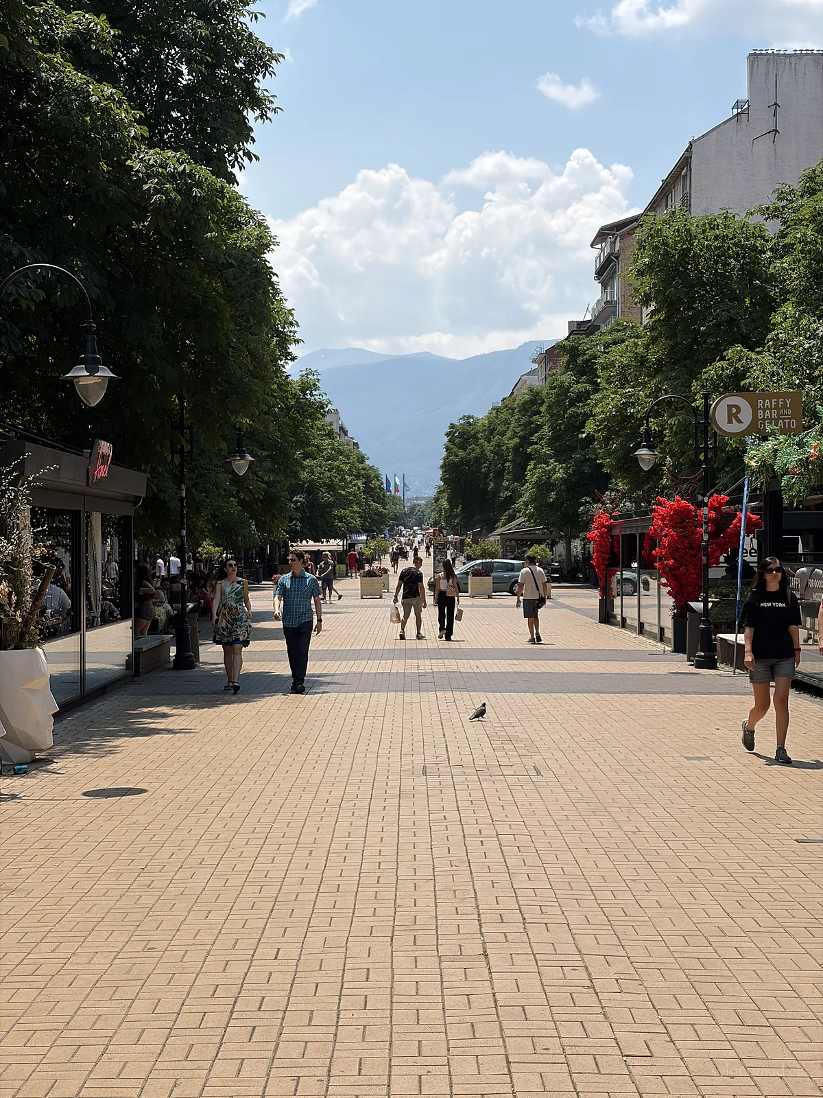 View from Vitosha Boulevard towards the Vitosha Mountain range in Sofia.